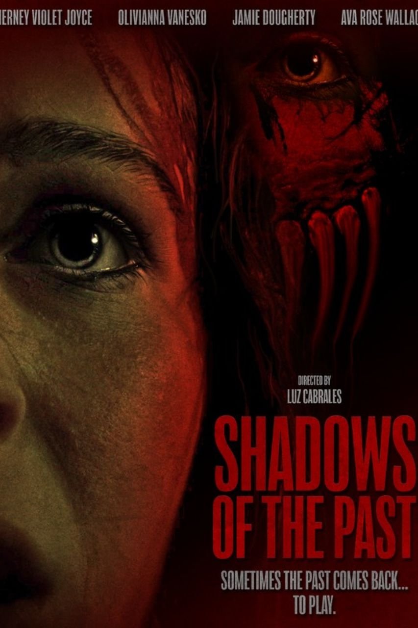 Shadows Of The Past Hindi Dubbed Movie Poster (2025)